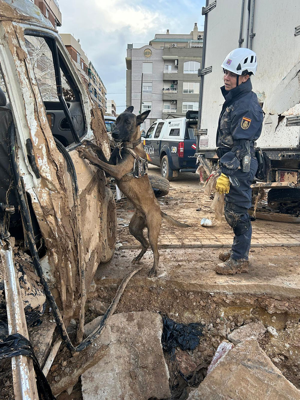 Policía nacional y su perro buscando víctimas de la dana en Valencia