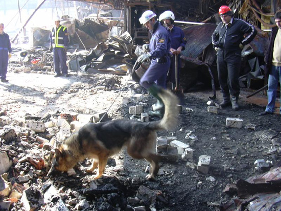 Dos Policías Nacionales de la Unidad de Guías Caninos rastrean el lugar donde se ha producido un incendio con un perro en busca de pruebas.