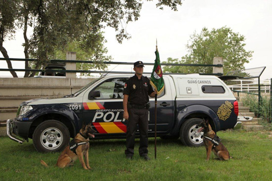 Un Policía Nacional de la Unidad de Guías Caninos posa junto con dos perros, un vehículo de la unidad, portando un banderín con el escudo de la misma.