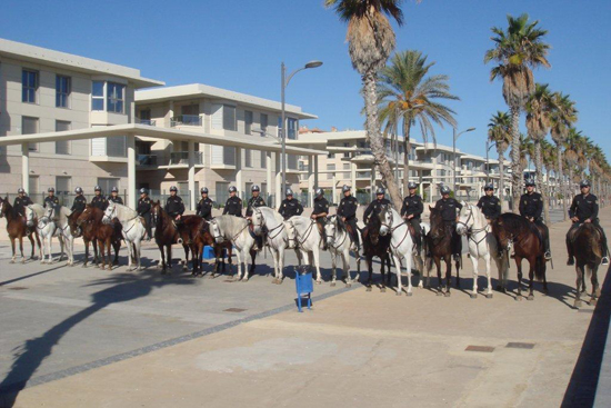 Varios Policías Nacionales montados a caballo en formación posando para una fotografía.