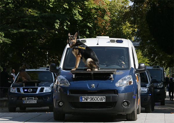 Desfile motorizado de vehículos policiales rotulados. En primer plano vehículo de guías caninos con el can sobre plataforma en el capó del vehículo.
