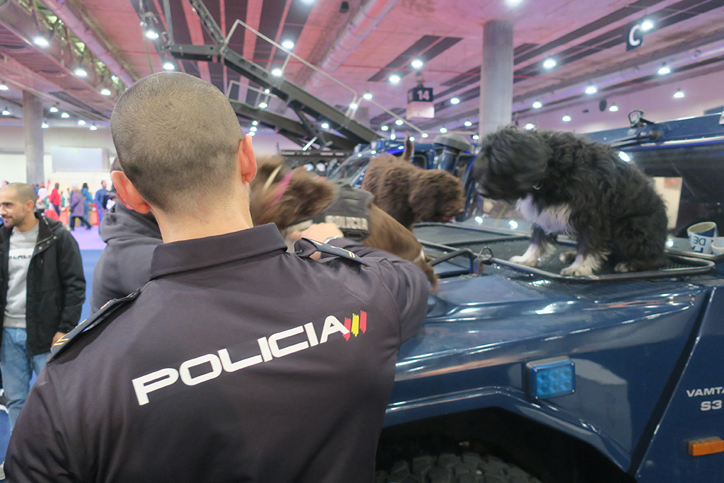 Policía de espaldas, junto a él, varios perros de la Policía Nacional, subidos en los vehículos adaptados,  de la Unidad de Guías Caninos.