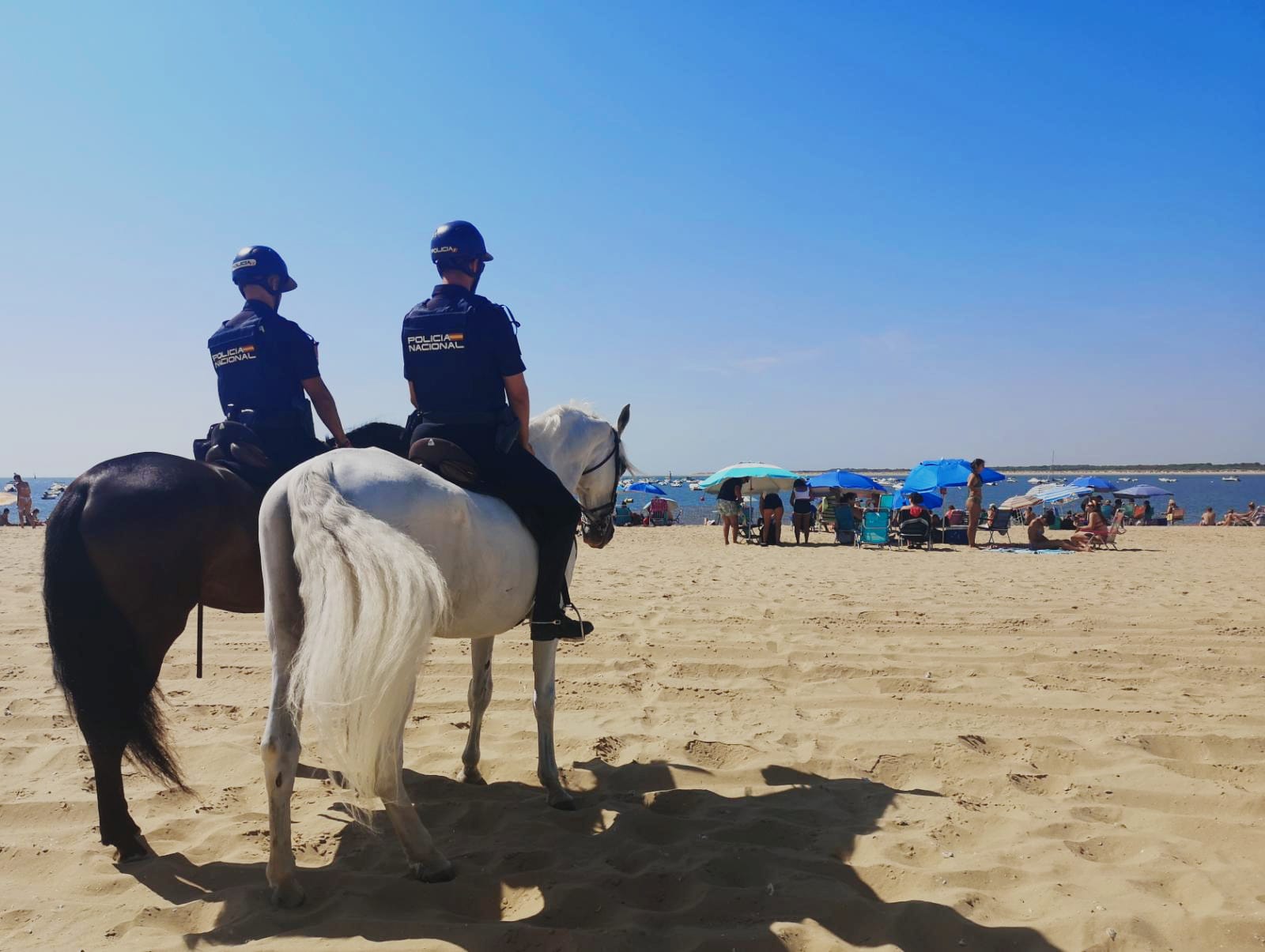 Dos policía montados a caballo vistos de espaldas, sobre la arena de la playa y unos bañistas al fondo.