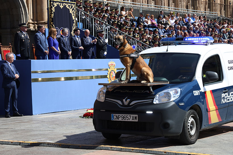 Fotografía en la que se como un can de la Unidad Especial de Guías Canino de la Policía Nacional desfila subido encima de un vehículo.