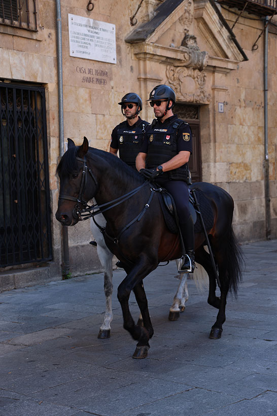 Fotografía en la que se puede ver a dos policías de la Unidad Especial de Caballería de la Policía Nacional montados en sus caballos.