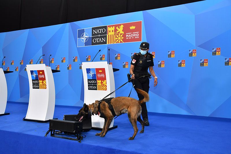 Un agente de guías caninos junto al perro inspeccionando una parte del recinto.